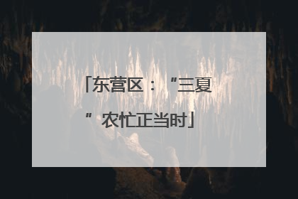 东营区：“三夏”农忙正当时