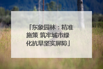 东象园林：精准施策 筑牢城市绿化抗旱坚实屏障