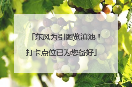 东风为引图览滇池！打卡点位已为您备好