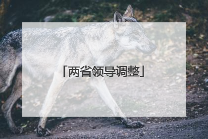 两省领导调整