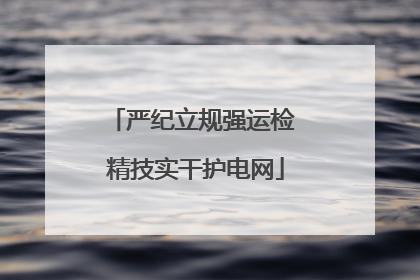 严纪立规强运检 精技实干护电网