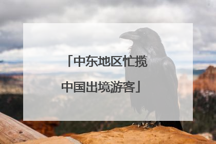 中东地区忙揽中国出境游客