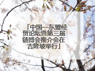 中国—东盟经贸论坛暨第三届链博会推介会在吉隆坡举行