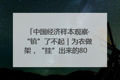 中国经济样本观察·“镇”了不起｜为衣做架，“挂”出来的80亿元“衣架产业”
