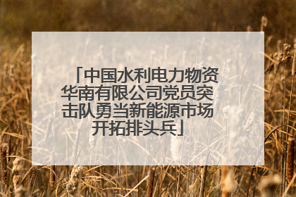 中国水利电力物资华南有限公司党员突击队勇当新能源市场开拓排头兵