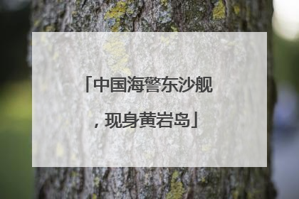 中国海警东沙舰，现身黄岩岛