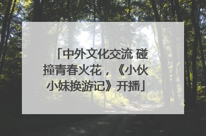中外文化交流 碰撞青春火花，《小伙小妹换游记》开播