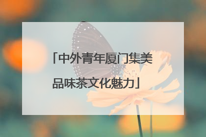 中外青年厦门集美品味茶文化魅力