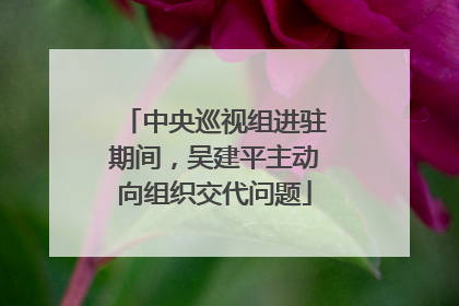 中央巡视组进驻期间，吴建平主动向组织交代问题