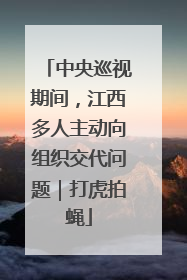 中央巡视期间，江西多人主动向组织交代问题｜打虎拍蝇