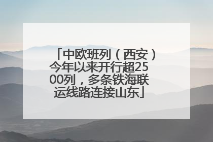 中欧班列（西安）今年以来开行超2500列，多条铁海联运线路连接山东