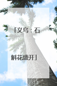 义乌：石斛花盛开