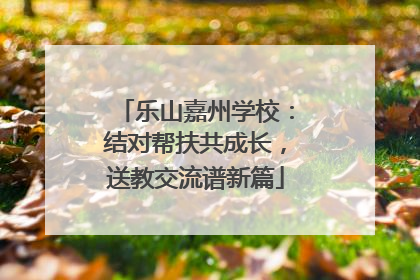 乐山嘉州学校：结对帮扶共成长，送教交流谱新篇