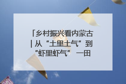 乡村振兴看内蒙古｜从“土里土气”到“虾里虾气” 一田双收模式火出圈