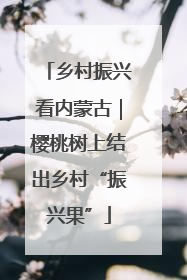 乡村振兴看内蒙古｜樱桃树上结出乡村“振兴果”
