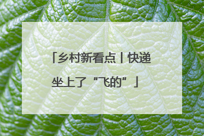 乡村新看点丨快递坐上了“飞的”