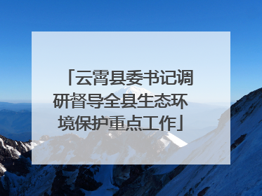 云霄县委书记调研督导全县生态环境保护重点工作
