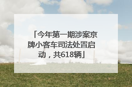 今年第一期涉案京牌小客车司法处置启动，共618辆