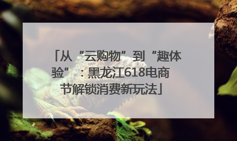 从“云购物”到“趣体验”：黑龙江618电商节解锁消费新玩法