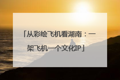 从彩绘飞机看湖南：一架飞机一个文化IP