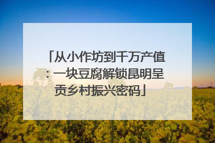 从小作坊到千万产值：一块豆腐解锁昆明呈贡乡村振兴密码