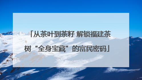 从茶叶到茶籽 解锁福建茶树“全身宝藏”的富民密码