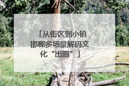 从街区到小镇 邯郸多场景解码文化“出圈”