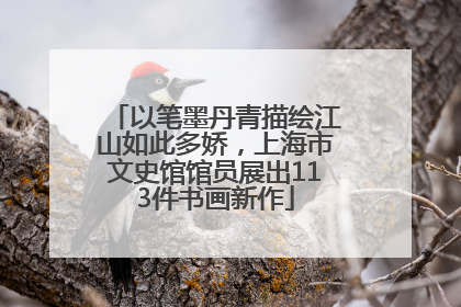 以笔墨丹青描绘江山如此多娇，上海市文史馆馆员展出113件书画新作