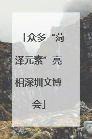 众多“菏泽元素”亮相深圳文博会