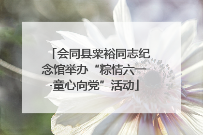 会同县粟裕同志纪念馆举办“粽情六一·童心向党”活动
