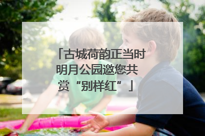 古城荷韵正当时 明月公园邀您共赏“别样红”