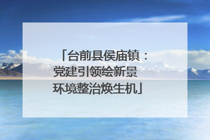 台前县侯庙镇：党建引领绘新景 环境整治焕生机