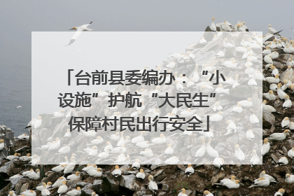 台前县委编办：“小设施”护航“大民生” 保障村民出行安全