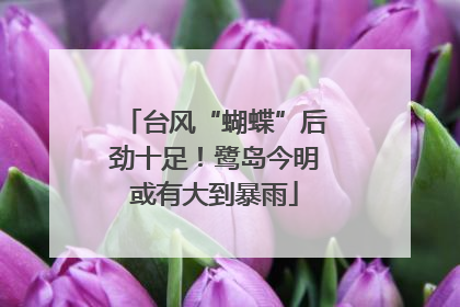 台风“蝴蝶”后劲十足！鹭岛今明或有大到暴雨