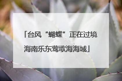 台风“蝴蝶”正在过境海南乐东莺歌海海域