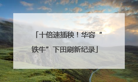 十倍速插秧！华容“铁牛”下田刷新纪录