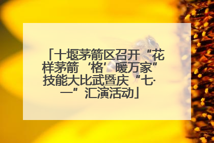 十堰茅箭区召开“花样茅箭‘格’暖万家”技能大比武暨庆“七·一”汇演活动