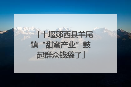 十堰郧西县羊尾镇“甜蜜产业”鼓起群众钱袋子