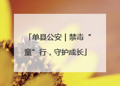 单县公安｜禁毒“童”行，守护成长