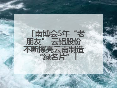 南博会5年“老朋友” 云铝股份不断擦亮云南制造“绿名片”