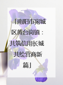 南阳市宛城区黄台岗镇：共筑信用长城 共绘营商新篇