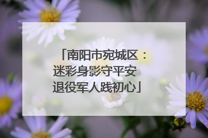 南阳市宛城区：迷彩身影守平安 退役军人践初心