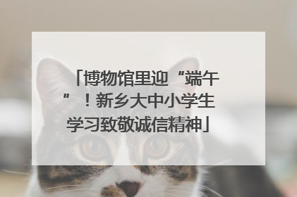 博物馆里迎“端午”！新乡大中小学生学习致敬诚信精神