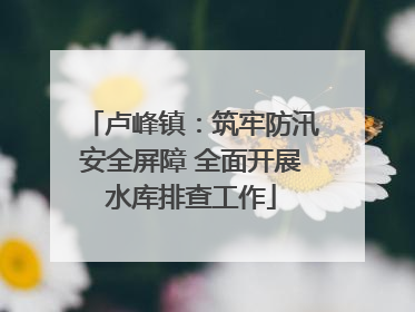 卢峰镇：筑牢防汛安全屏障 全面开展水库排查工作