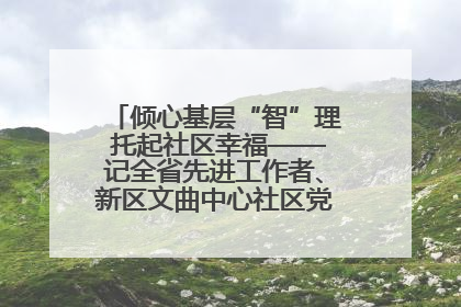 倾心基层“智”理 托起社区幸福——记全省先进工作者、新区文曲中心社区党委书记董世弘