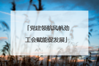 党建领航风帆劲 工会赋能促发展