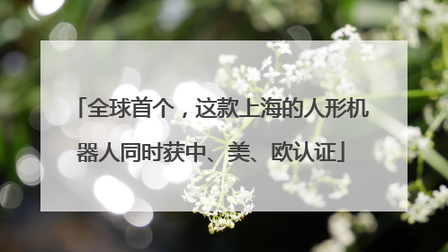 全球首个，这款上海的人形机器人同时获中、美、欧认证