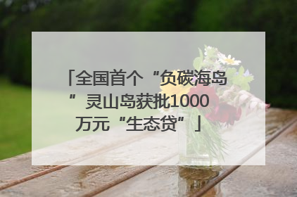 全国首个“负碳海岛”灵山岛获批1000万元“生态贷”