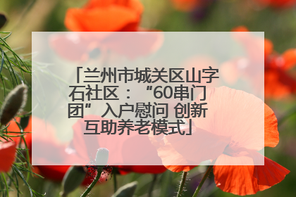 兰州市城关区山字石社区：“60串门团”入户慰问 创新互助养老模式