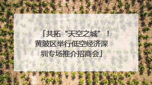 共拓“天空之城”！黄陂区举行低空经济深圳专场推介招商会